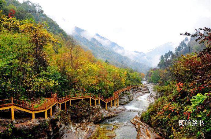咸阳出发到渭南7日自驾游路书:陕西秦岭太白秋色 秋摄